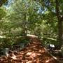 Clark Gardens Botanical Park