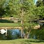Clark Gardens Botanical Park