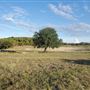 Kestrel Ranch