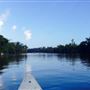 Neches River Shoreline