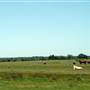 Alpha Omega Longhorn Ranch