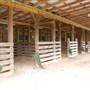 Two Wishes Ranch