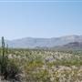 Big Bend National Park - Santa Elena Canyon