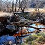 Borger Nature Trail