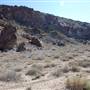 Horseback Riding Trails