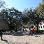 Texas State University