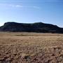 CF Ranch