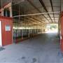 CF Ranch