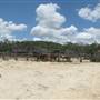 Dixie Dude Ranch