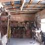 Dixie Dude Ranch