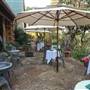 Cedars on the Brazos Bed & Breakfast