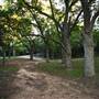 Cedars on the Brazos Bed & Breakfast