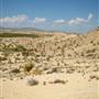Big Bend Ranch State Park - Barton Warnock Environmental Education Center