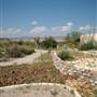 Big Bend Ranch State Park - Barton Warnock Environmental Education Center