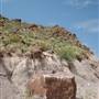 Big Bend Ranch State Park - Big Hill