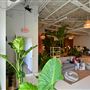 Eden Plant Co.