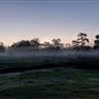 Hidden Meadows Ranch
