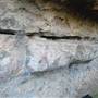Big Bend Ranch State Park - Boulder with Pictograph