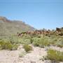 Big Bend Ranch State Park - Agua Adentro