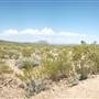 Big Bend Ranch State Park - Papalotito Colorado