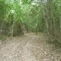 Spiderwood Studios 969 - Backlot