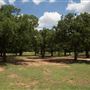 Allan Saxe Park