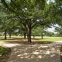 Allan Saxe Park