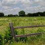 Blackland Prairie Park