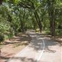 Bob Findlay Linear Park