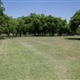 Clarence Foster Park