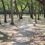 Fielder Park
