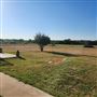 Braley Ranch