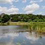 Sheri Capehart Nature Preserve