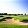 Tierra Verde Golf Club