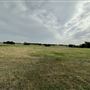 Fairlea Longhorn Ranch
