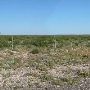 Terrain in Andrews County