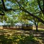 Freedom Tree Park