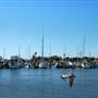 Rockport Harbor