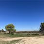 Two Wishes Ranch