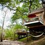 River Road Treehouses