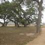 Historic Stagecoach Park