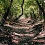 Mineola Nature Preserve