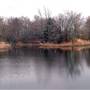 Mineola Nature Preserve