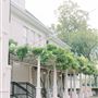 The Woodbine Mansion