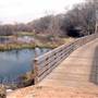 Mineola Nature Preserve