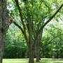 Pecan Acres Park