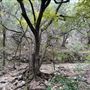 Panther Canyon Nature Trail