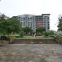 Lake Cliff Park