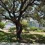 History Center for Aransas County