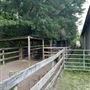Pine Acres Farm